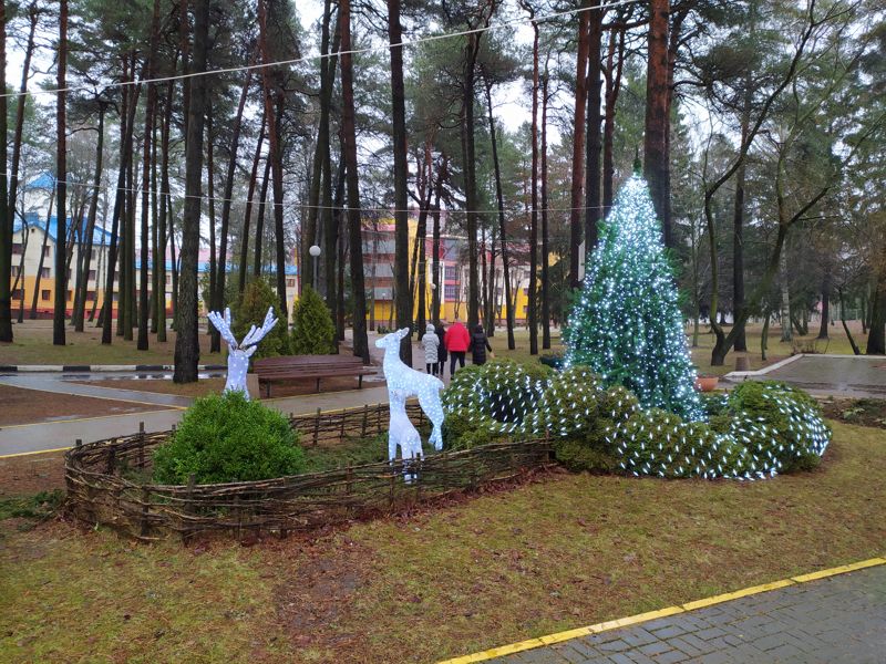 Новый год в Беларуси 2023 - РУП «Ждановичи» - фото №17