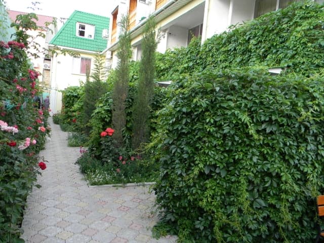 «Жемчужина» мини-отель Судак - отдых в КРЫМУ 2022 - фото №1